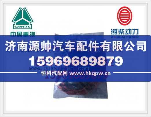 重汽国Ⅲ EGR动机O型圈1562165-1