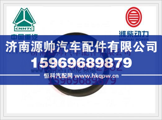 重汽豪沃2009 Φ180进气管WG9725190905