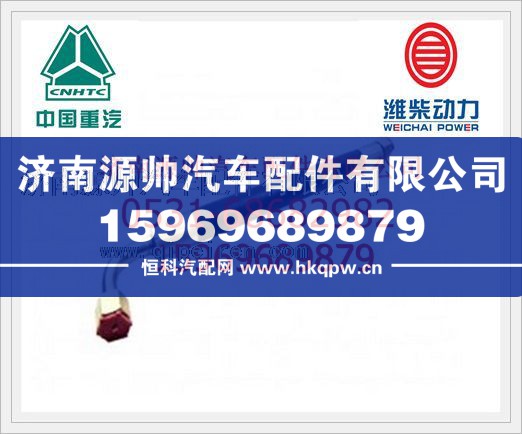 重汽豪沃A7高压软管WG9925820009