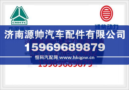 重汽豪运09款暖风电机NZ1651820512