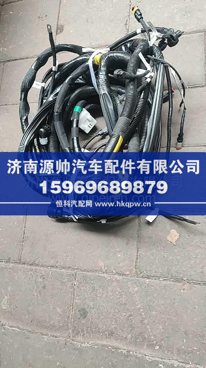 BZ95189710144陕汽轩德翼6发动机线束 BZ95189710144