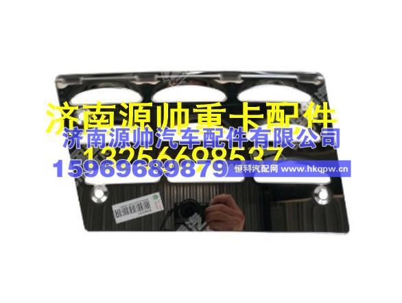 重汽豪沃T5G高位踏板右防滑板 WG1664230102