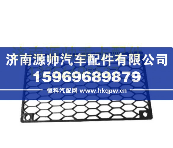 重汽豪沃轻卡悍将统帅宽体保险杠装饰网 LG1613240205