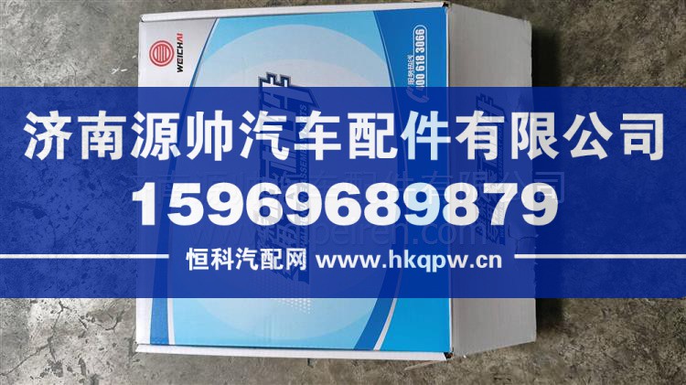 電控單元 612650080075