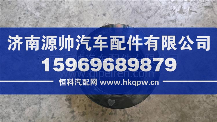 WG9925682120 后穩(wěn)定桿軸承