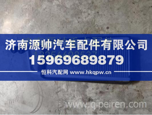 重汽豪沃轻卡悍将统帅散热芯总成暖风水箱 LG1617842025