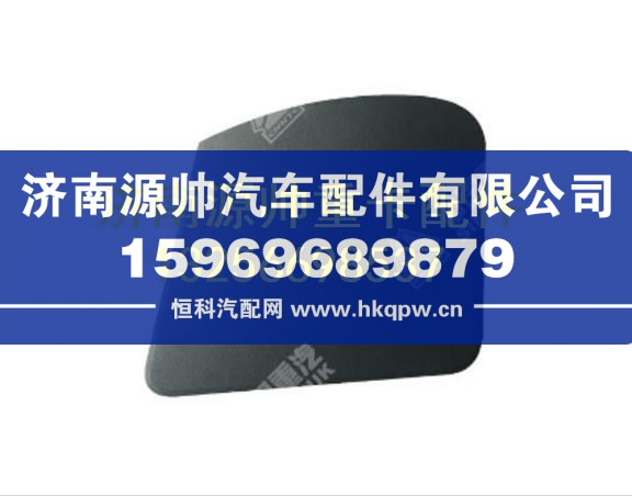 重汽豪沃A7电器箱盖总成 WG1664160260
