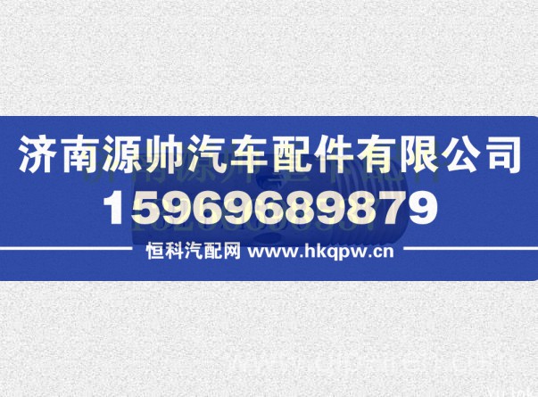 陕汽奥龙低温止回阀 DZ93259560430