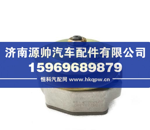 大柴道依茨发动机输油泵 1106250A30D