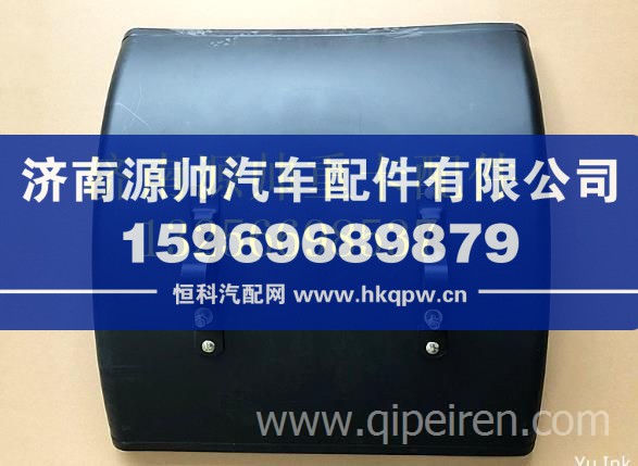 DZ95189951031陕汽德龙F3000前挡泥板总成 DZ95189951031