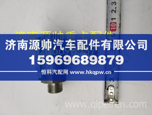 重汽豪沃轻卡悍将统帅高压铰接式接头液压油缸 KZ3753750114