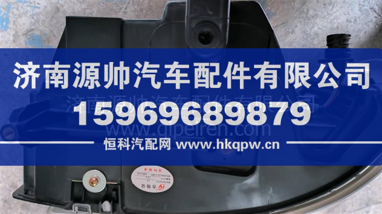 WG9719720001 左前照灯总成