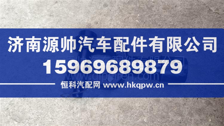 牵引销总成 DZ95189840010
