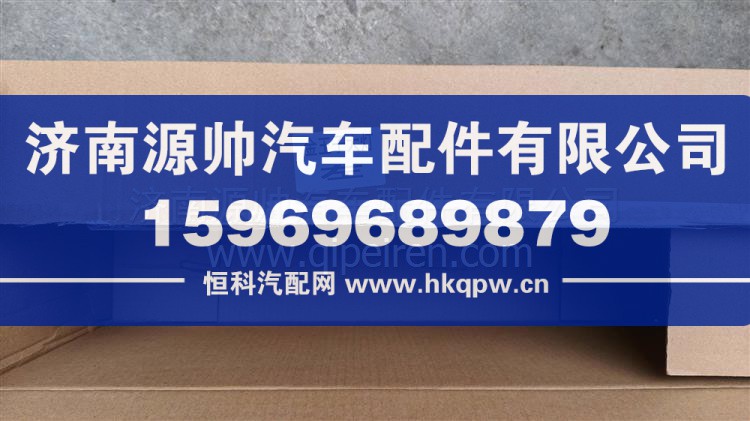 金王子前大灯 WG9100720110