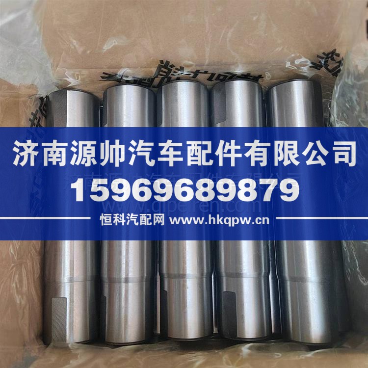 转向节主销 WG9719410031