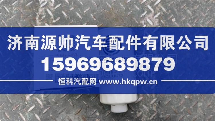 燃油濾清器濾芯 1000422384