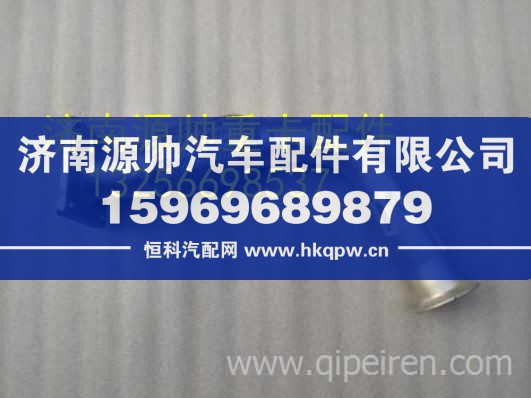 重汽豪沃轻卡悍将统帅排气波纹管原厂汽车配件 LG9704540723