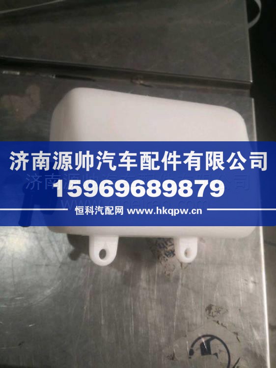 BZ93059533019陜汽德龍輕卡g300水壺 BZ93059533019