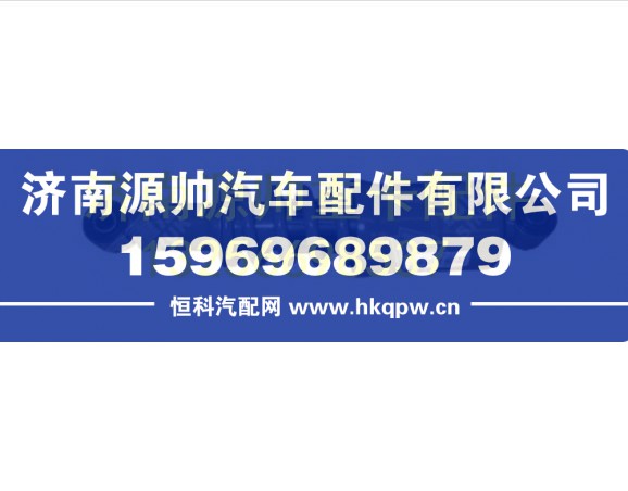重汽豪瀚前悬减振器总成 AZ1654430010