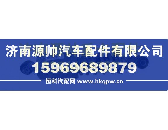 重汽豪瀚后悬减振器总成 AZ1654440010
