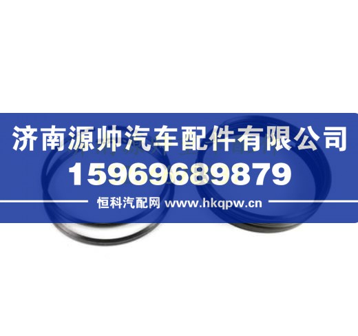 大柴道依茨发动机活塞环 1004025-90D