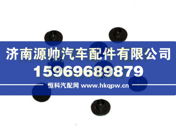 重汽豪沃T5G堵塞 810-96002-0464