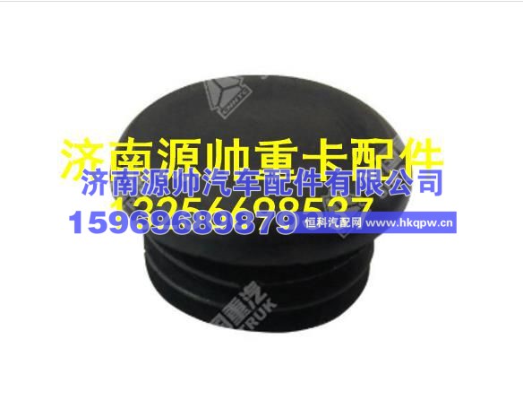 重汽豪沃T5G堵塞 WG1662935001