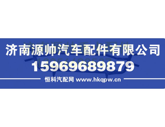 重汽豪沃踏板支架总成 WG9125930204