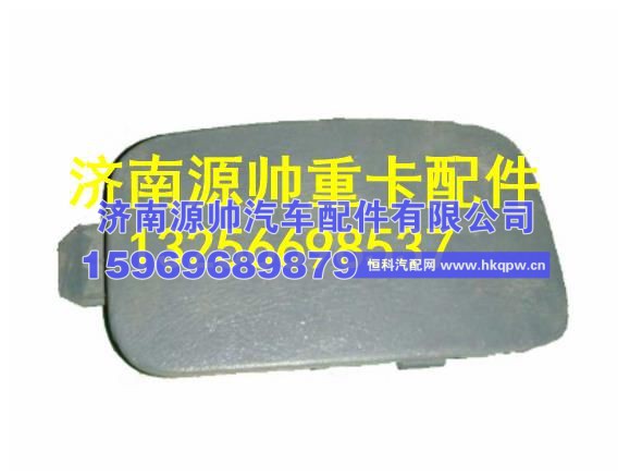 重汽豪沃仪表台右前部螺钉盖板 WG1642230109