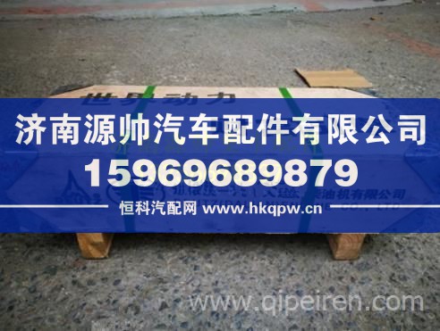 大柴道依茨发动机缸盖总成 1003010-36D