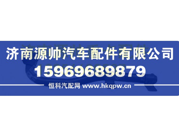 重汽豪沃T5G右后翼子板支架总成 WG1664235036