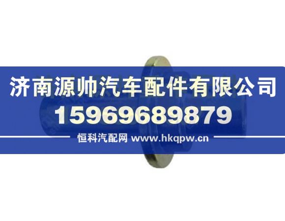 重汽豪瀚衬套 WG1664440031