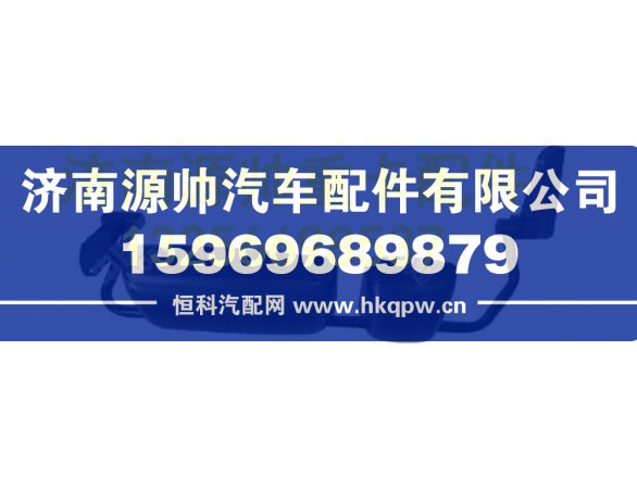 重汽豪沃左后视镜总成 WG1642770101