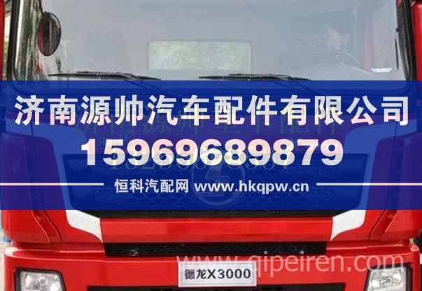 陜汽X3000標(biāo)牌（金色） DZ14251950078