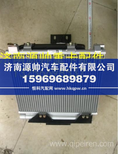 重汽豪沃轻卡悍将统帅冷凝器总成 LG1613822123