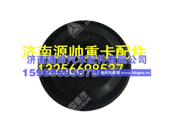 重汽豪沃T5G前围工艺孔堵塞 WG1664930015