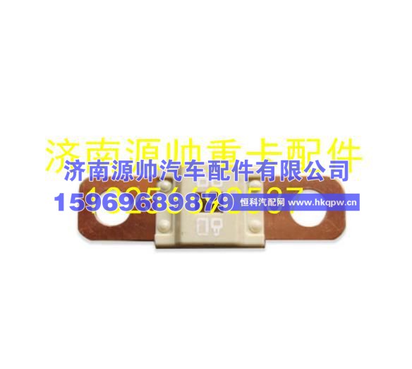 重汽豪沃轻卡悍将统帅80A保险 LG9704770082