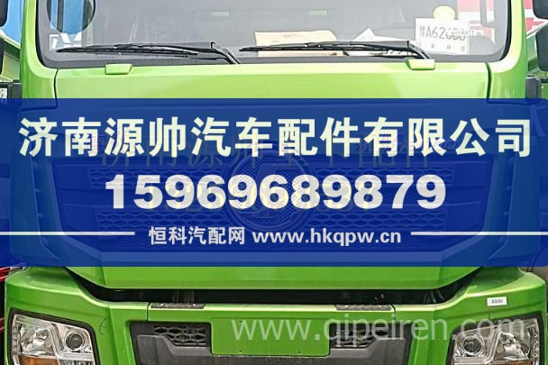 陜汽標(biāo)志牌（金色） DZ14251950080