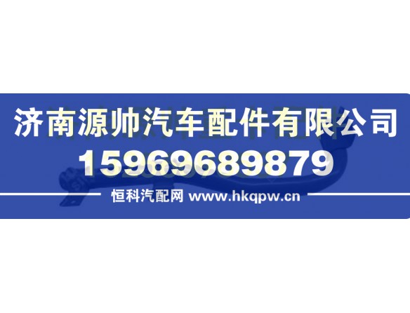 重汽豪沃T5G左后翼子板支架总成 WG1664235035