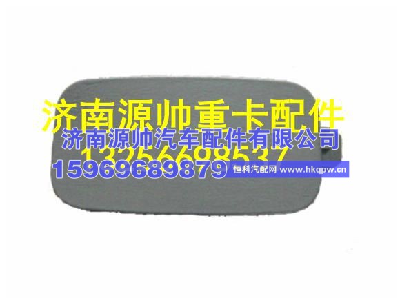 重汽豪沃仪表台左前部螺钉盖板 WG1642160238