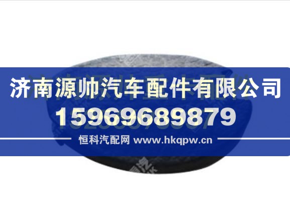 重汽豪沃T7H右A立柱堵蓋 WG1662610054