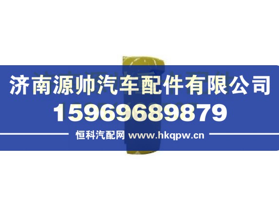 重汽豪沃T5G右导风罩总成 812W62410-6030