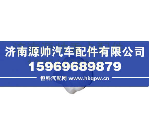 重汽豪沃轻卡悍将统帅车门内衬板卡扣 LG1611930013