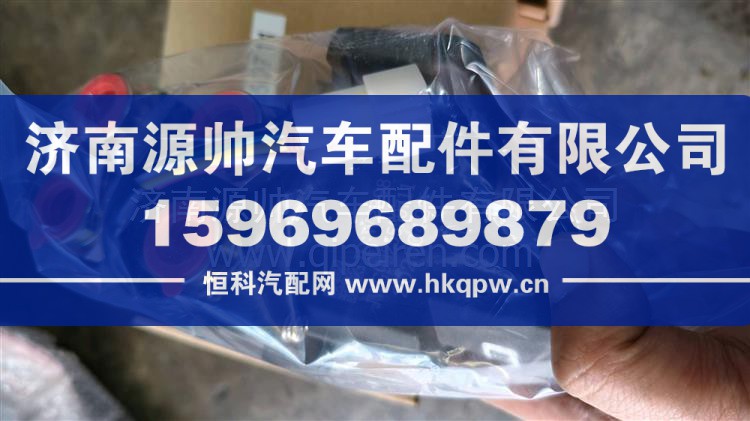 WG9925550711 电动换向阀