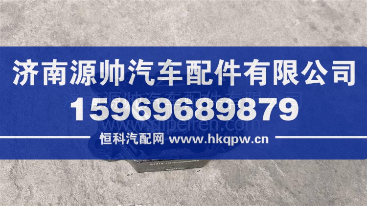 歐曼前動力懸置總成 H410100000586