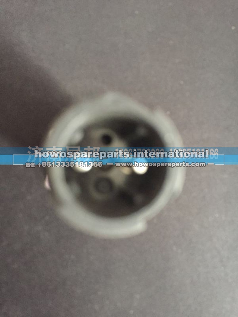 811W25503-0275-1,重汽豪沃T5G气压信号灯开关,济南冠泽卡车配件营销中心