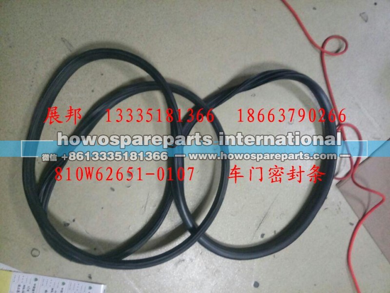 810W62651-0107,车门密封条,济南冠泽卡车配件营销中心