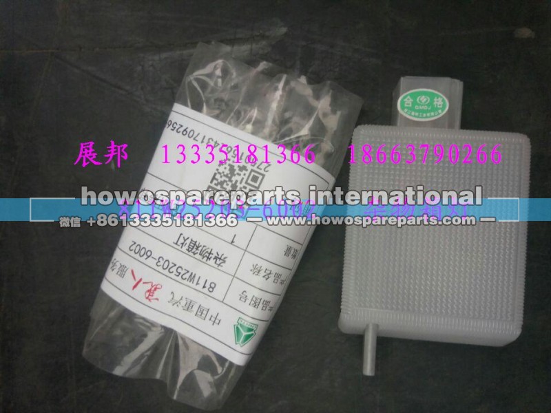 811W25203-6002,杂物箱灯,济南冠泽卡车配件营销中心