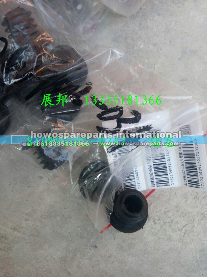 810W96002-0347,堵塞,济南冠泽卡车配件营销中心