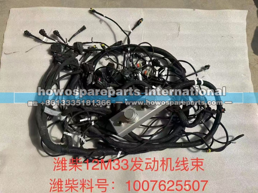 WEICHAI12133 发动机线束1007625507 潍柴